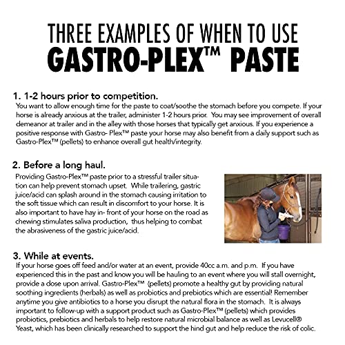 MVP MVP Gastro-Plex Paste 5-Pack Gastric Stress Relief for Horses 10 Doses Fast Acting Solution - View 6 of 7