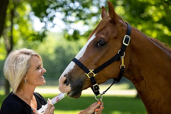 MVP MVP Gastro-Plex Paste 5-Pack Gastric Stress Relief for Horses 10 Doses Fast Acting Solution - View 7 of 7