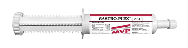 MVP MVP Gastro-Plex Paste 5-Pack Gastric Stress Relief for Horses 10 Doses Fast Acting Solution