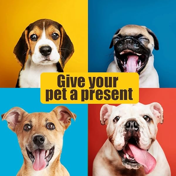 Barelove Soft Washable Rectangular Dog Cat Bed Mattress with Anti-Slip Waterproof Bottom Plush Fleece for Small Pets in Pink - View 6 of 8