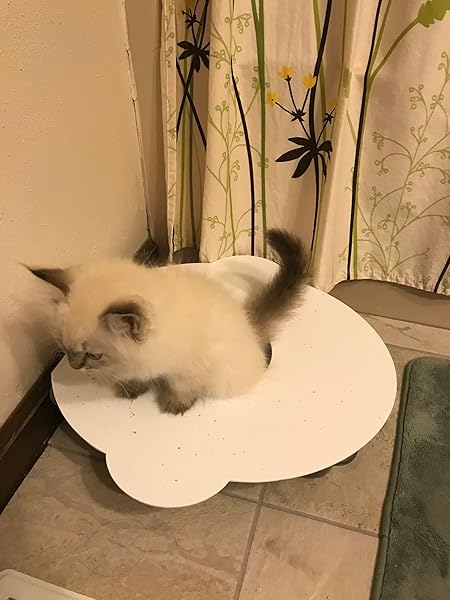 Kitty's Loo Cat Toilet Training Kit by Kitty's Loo Original Trainer Seat American Made Portable Durable Reusable - View 7 of 7