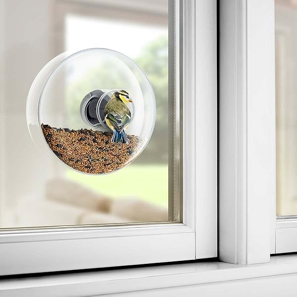 Eva Solo Eva Solo Large Window Bird Feeder for Easy Bird Watching and Feeding - View 6 of 6