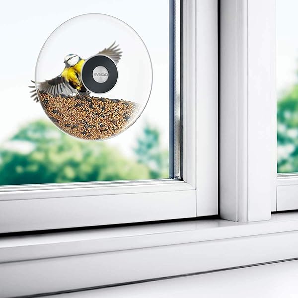 Eva Solo Eva Solo Large Window Bird Feeder for Easy Bird Watching and Feeding - View 5 of 6
