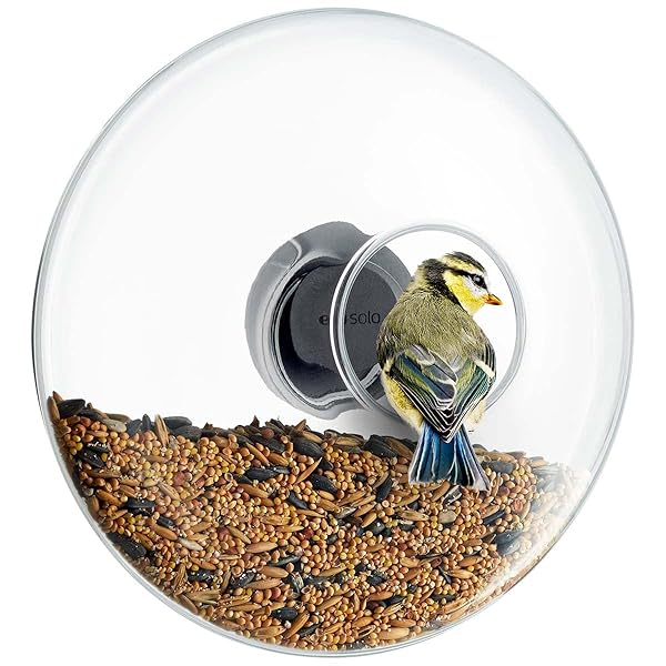 Eva Solo Eva Solo Large Window Bird Feeder for Easy Bird Watching and Feeding