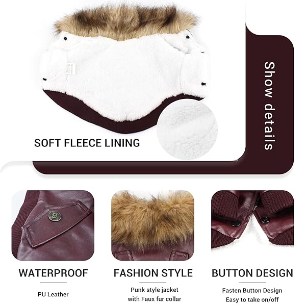 LESYPET LESYPET Red Dog Leather Jacket for Small Dogs Double Layer Warm Fleece Lined X-Large Puppy Cat Coat - View 3 of 5