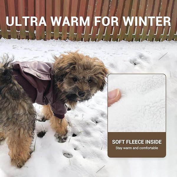 LESYPET LESYPET Red Dog Leather Jacket for Small Dogs Double Layer Warm Fleece Lined X-Large Puppy Cat Coat - View 4 of 5