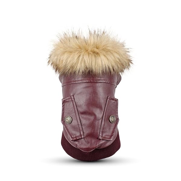 LESYPET LESYPET Red Dog Leather Jacket for Small Dogs Double Layer Warm Fleece Lined X-Large Puppy Cat Coat