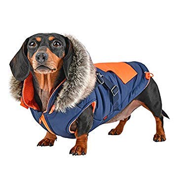 Puppia Puppia Orson Dog Coat Red Medium for Stylish and Warm Pet Fashion - View 4 of 5