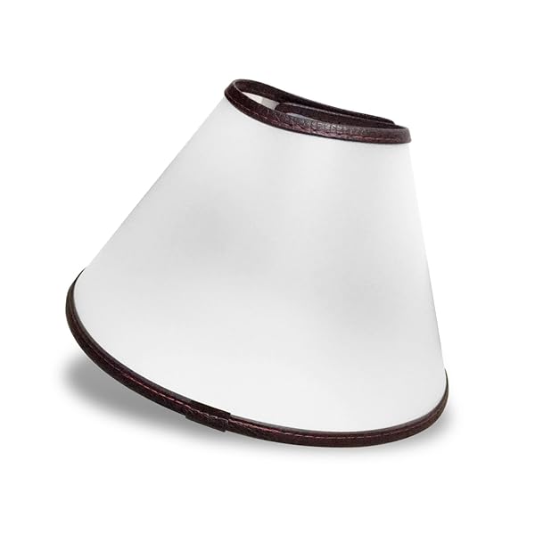 Felicey Adjustable Dog Elizabeth Collar Felicey Soft Edge Recovery Cone for Anti-Bite Lick Surgery Wound Healing XXXXl