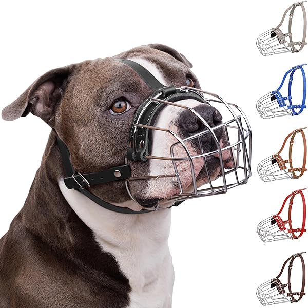 BRONZEDOG BRONZEDOG Breathable Metal Basket Muzzle for Large Pitbulls Amstaff Staffordshire Terriers Ideal for Biting Chewing and Barking