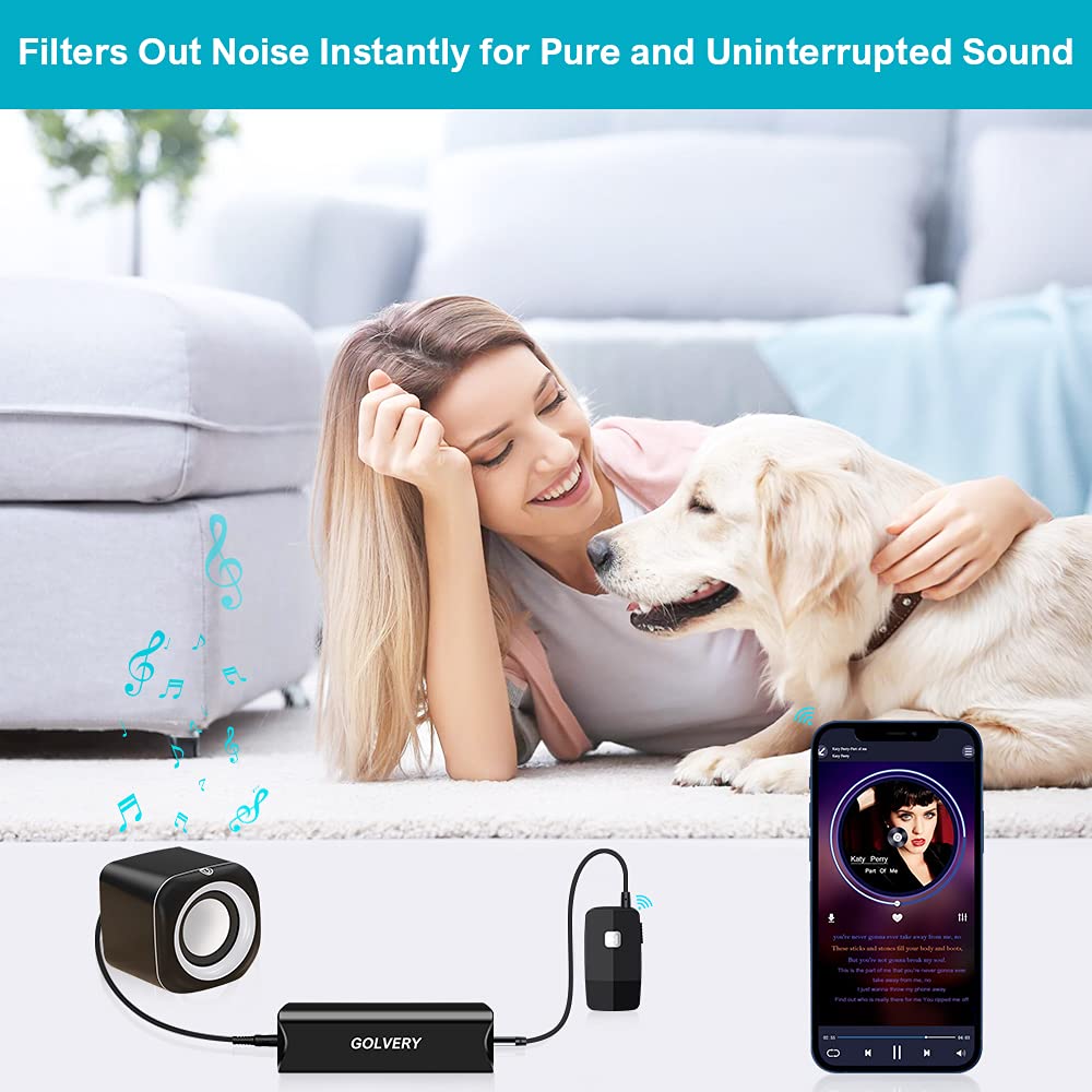 Golvery Golvery Ground Loop Noise Isolator: Eliminate Humming & Buzzing in Car Audio, Home & PC Stereo Systems - View 6 of 9