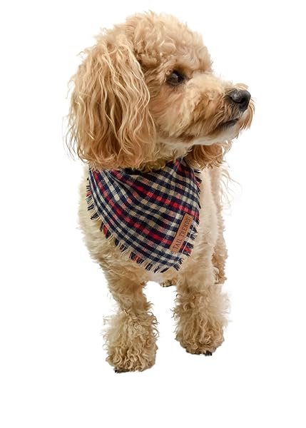 Tail Trends Tail Trends Maroon Plaid Frayed Dog Bandanas with Leather Patch for Medium to Large Breeds