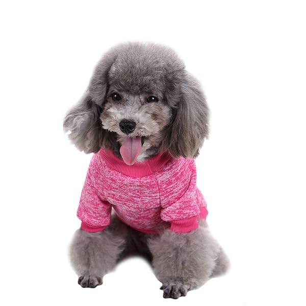 JECIKELON Jecikelon Dog Sweater Soft Winter Clothing for Small Dogs and Puppies Rose Red XXS - View 3 of 6