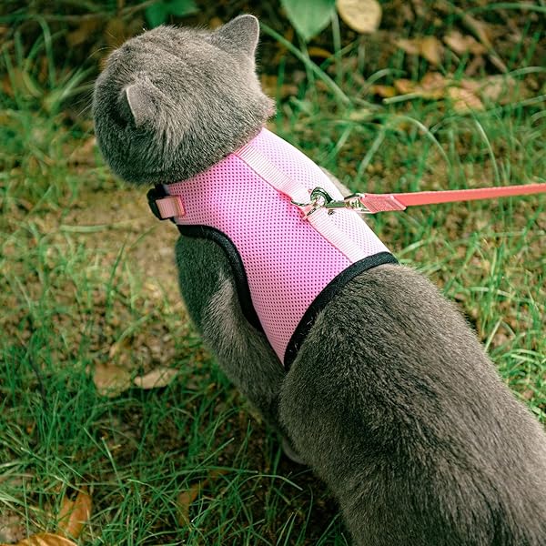 PUPTECK PUPTECK Soft Mesh Cat Vest Harness and Leash Set Escape Proof for Small Dogs and Cats Pink Large - View 6 of 6