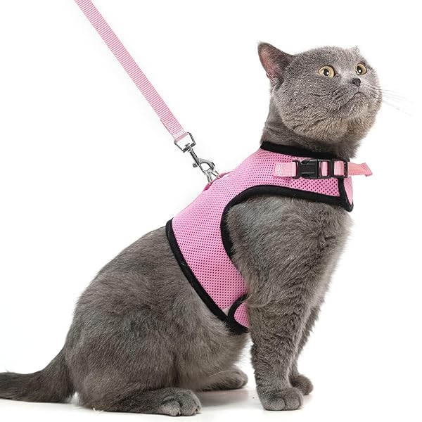 PUPTECK PUPTECK Soft Mesh Cat Vest Harness and Leash Set Escape Proof for Small Dogs and Cats Pink Large