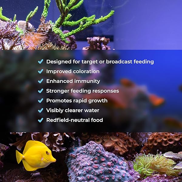 Benepets Benereef Benepets Benereef Powder Complete Reef Nutrition for Coral Growth Color Regeneration with Nutrient Absorption Prebiotics Probiotics 80 Grams - View 3 of 7