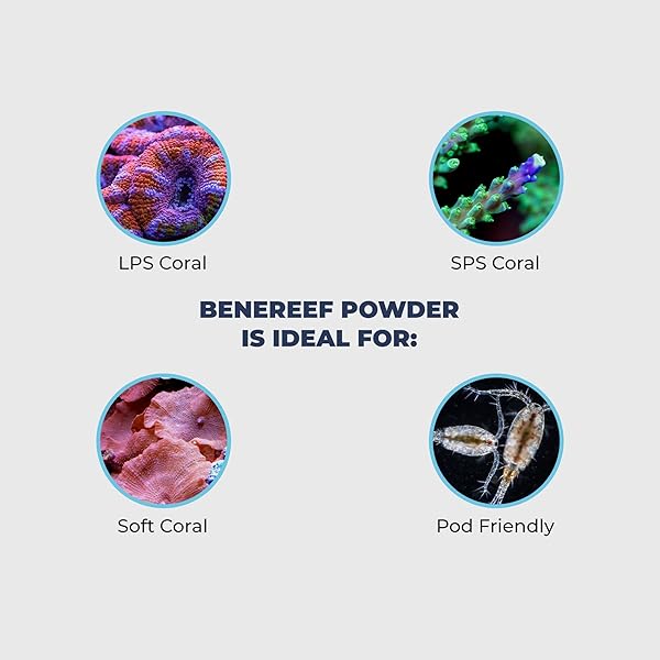 Benepets Benereef Benepets Benereef Powder Complete Reef Nutrition for Coral Growth Color Regeneration with Nutrient Absorption Prebiotics Probiotics 80 Grams - View 4 of 7