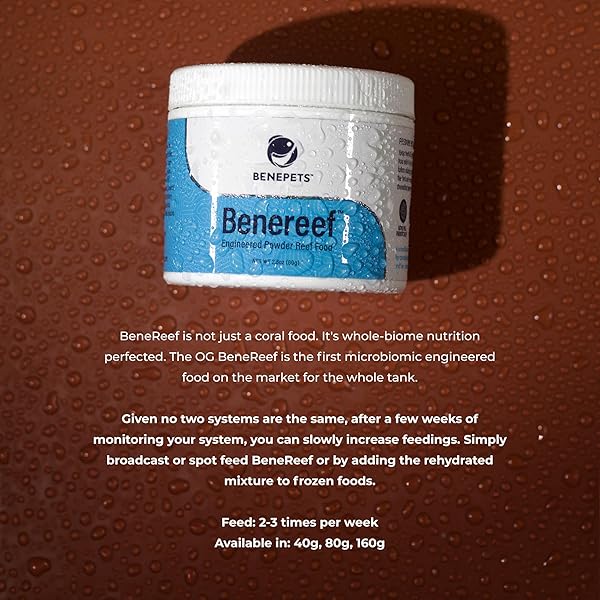 Benepets Benereef Benepets Benereef Powder Complete Reef Nutrition for Coral Growth Color Regeneration with Nutrient Absorption Prebiotics Probiotics 80 Grams - View 5 of 7