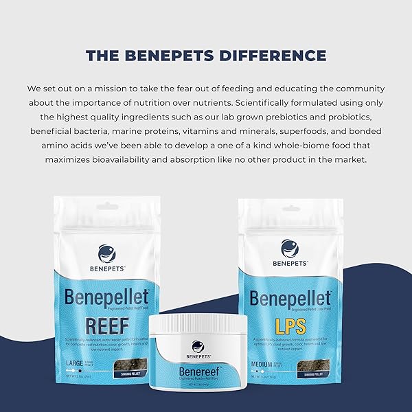 Benepets Benereef Benepets Benereef Powder Complete Reef Nutrition for Coral Growth Color Regeneration with Nutrient Absorption Prebiotics Probiotics 80 Grams - View 7 of 7