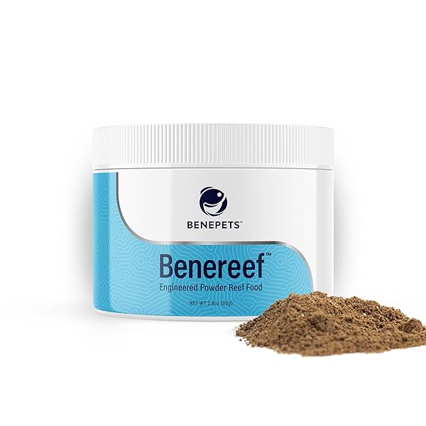 Benepets Benereef Benepets Benereef Powder Complete Reef Nutrition for Coral Growth Color Regeneration with Nutrient Absorption Prebiotics Probiotics 80 Grams