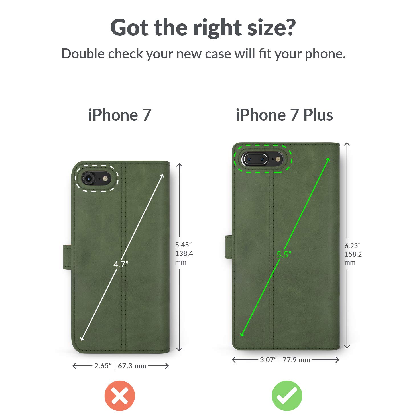 Snakehive - View 6 of 6