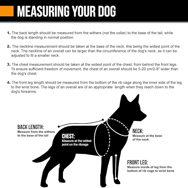 Hurtta Hurtta Rain Blocker ECO Dog Raincoat Hedge Size 10 for Ultimate Protection Against Rain - View 5 of 6