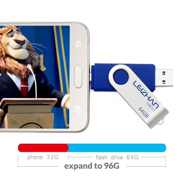 leizhan Leizhan 64GB Flash Drive for Android USB 2.0 Micro Pendrive OTG Memory Stick Blue - View 5 of 7