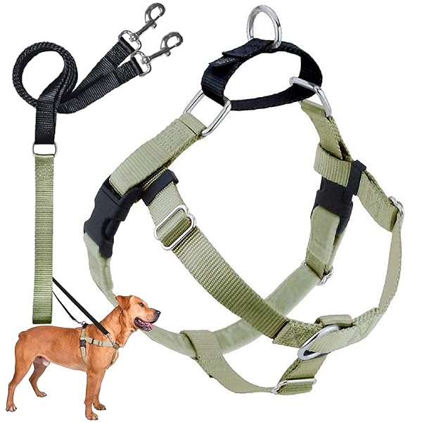 2 Hounds Design 2 Hounds Design Freedom No Pull Dog Harness Adjustable Leash Set for Easy Walking Comfortable Control Fits All Dog Sizes Made in USA Tan XL