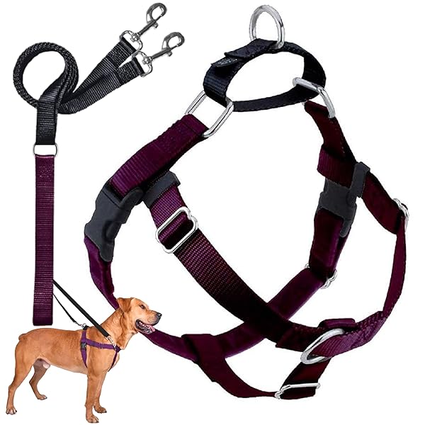 2 Hounds Design 2 Hounds Design Freedom No Pull Dog Harness Adjustable Leash Set for Easy Walking Comfortable Control Fits All Dog Sizes Made in USA Burgundy