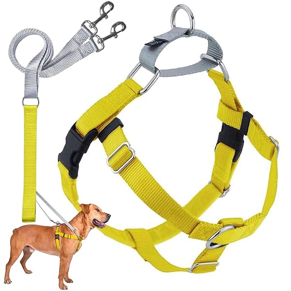 2 Hounds Design 2 Hounds Design Freedom No Pull Dog Harness Adjustable Leash Set Easy Walking Comfortable Control Fits All Dog Sizes Made in USA Yellow