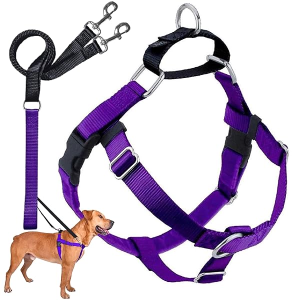 2 Hounds Design 2 Hounds Design Freedom No Pull Dog Harness Adjustable Leash Set for Easy Walking Comfortable Control Fits All Dog Sizes Made in USA Purple