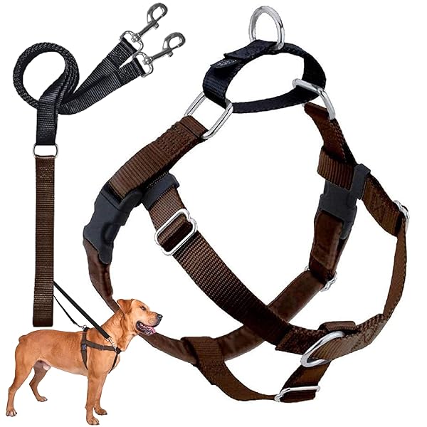2 Hounds Design 2 Hounds Design Freedom No Pull Dog Harness Adjustable Leash Set for Easy Walking Comfortable Control Fits All Dog Sizes Made in USA Brown