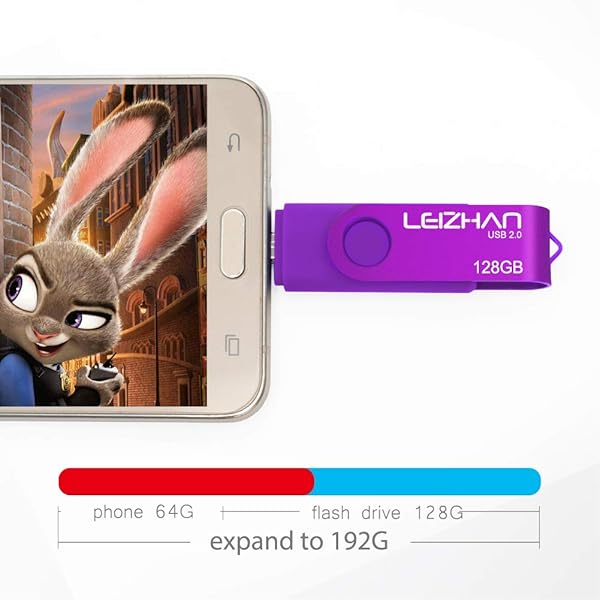 leizhan Leizhan 128GB OTG Micro USB Flash Drive for Android Phones Compatible with Samsung Xiaomi LG Sony OnePlus HTC Meizu Purple - View 6 of 9