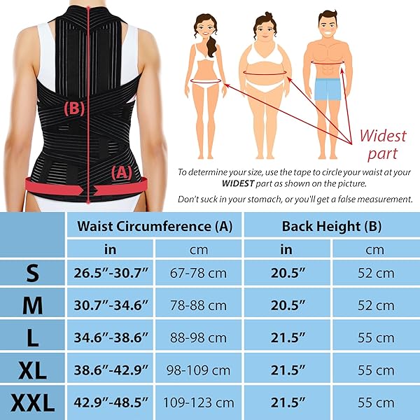 ORTONYX ORTONYX TLSO Full Back Support Brace Lightweight Breathable Pain Relief for Thoracic Kyphosis Herniated Disc Removable Pad ACHB5248-XL - View 5 of 8