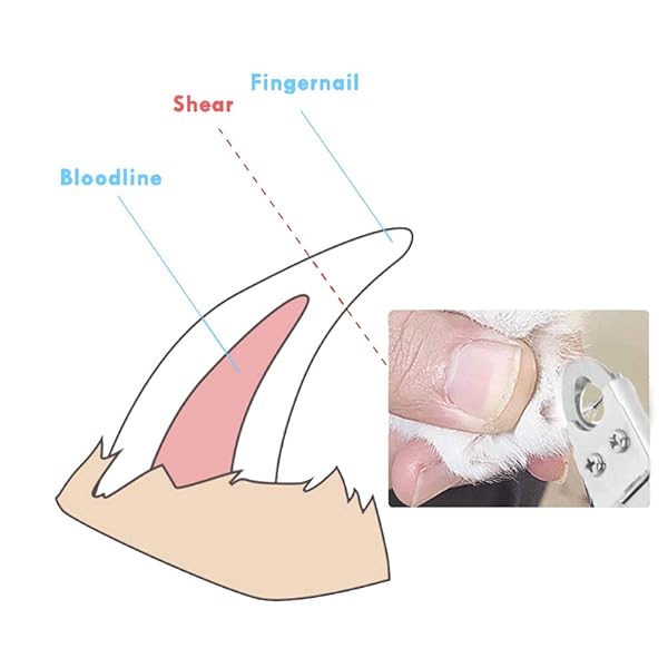 Fdit Fdit Pet Dog Nail Clippers Scissors Trimmer Cutter for Small Animals Black - View 3 of 9