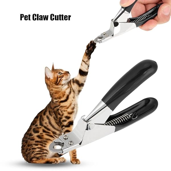Fdit Fdit Pet Dog Nail Clippers Scissors Trimmer Cutter for Small Animals Black - View 6 of 9