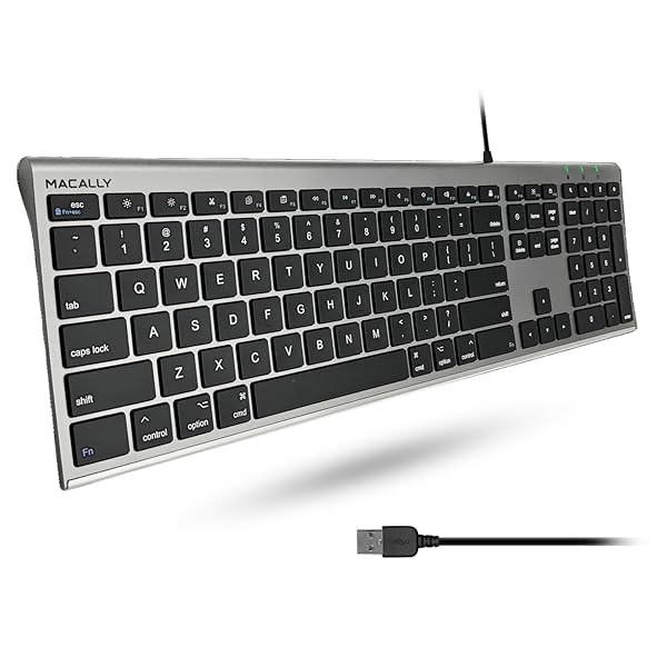 Macally Ultra-Slim USB Wired Keyboard: Full-Size Compatibility for Mac & Windows - Space Gray with Numeric Keypad