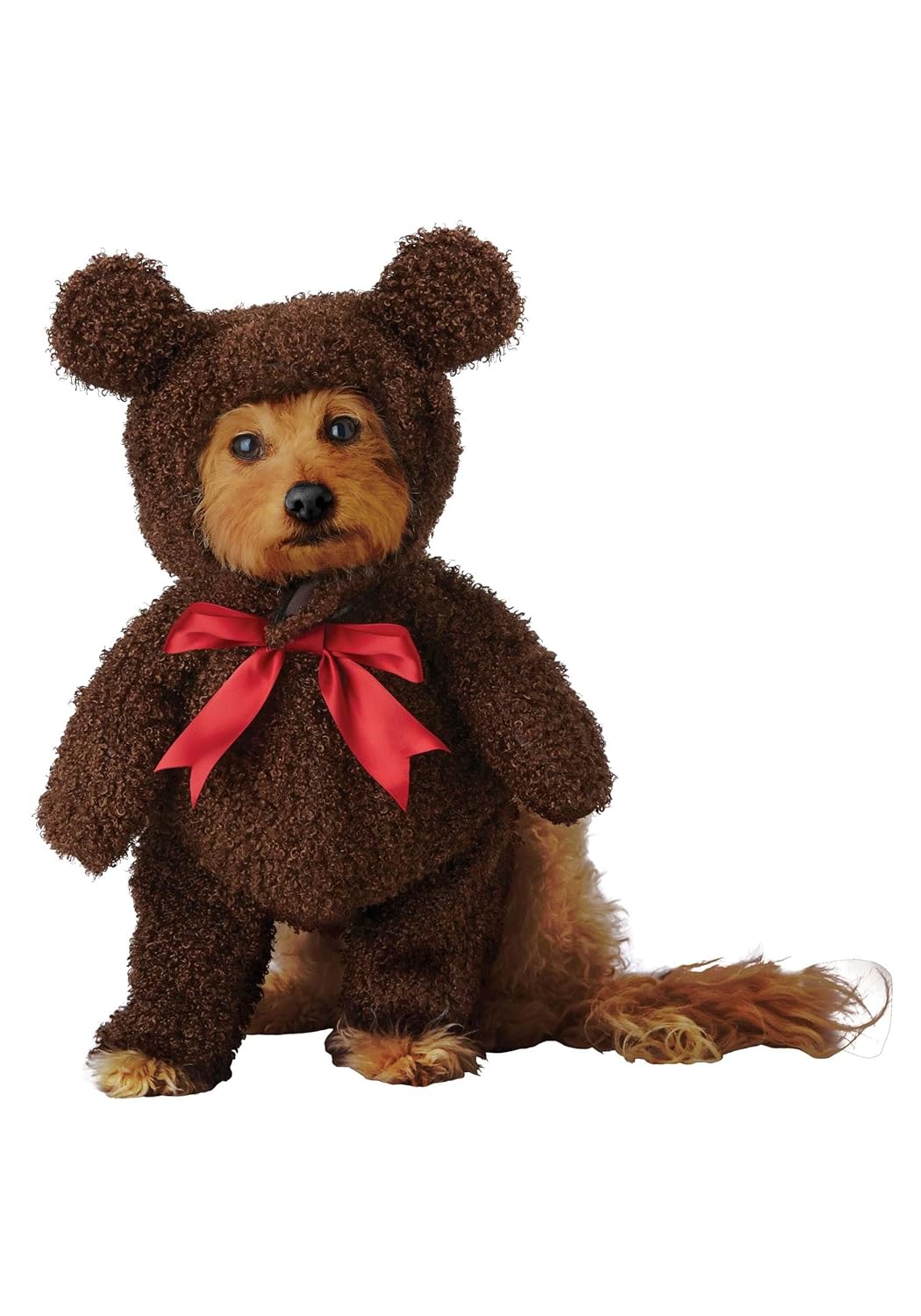 California Costumes Medium Teddy Bear Pet Costume for Dogs Cute and Comfortable Outfit for Halloween and Parties
