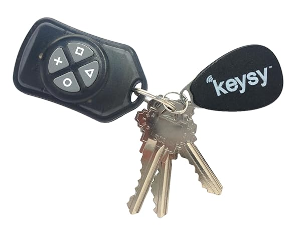 Keysy Keysy RFID Duplicator: Copy HID, AWID, Indala Key Fobs & Cards - Includes 1 Key Fob Cloner & Reader