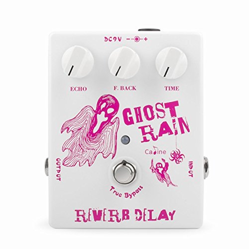 Caline Caline CP-41 Ghost Rain Echo Delay Pedal: True Bypass for Ultimate Guitar Sound