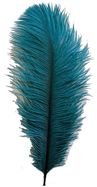 CENFRY CENFRY 10pcs Teal Ostrich Feathers 10inch Plumes for Wedding Centerpieces and Home Decoration - View 2 of 2