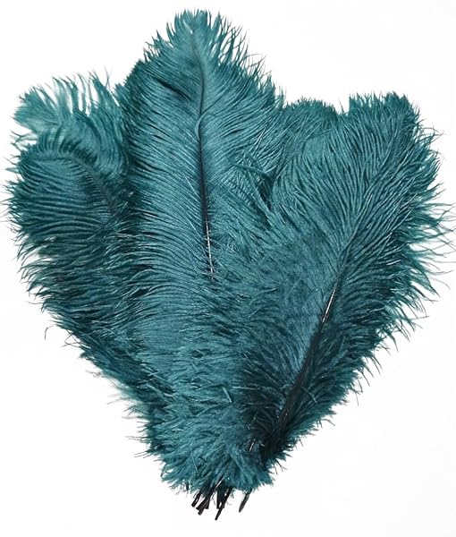 CENFRY CENFRY 10pcs Teal Ostrich Feathers 10inch Plumes for Wedding Centerpieces and Home Decoration