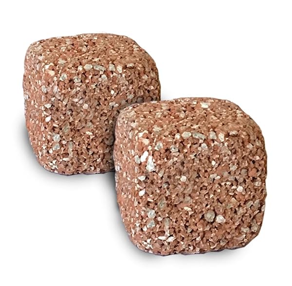 EcoBio-Block EcoBio Block Stone Natural Volcanic Water Clarifier and Odor Remover Rock for Aquariums 2-Pack