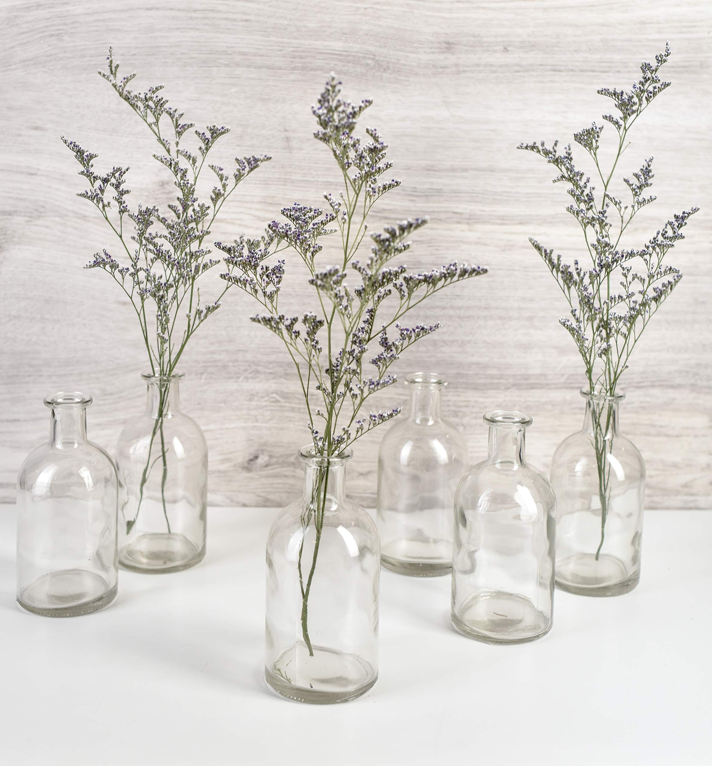 Serene Spaces Living 6 Pack Bud Vases Decorative Glass Bottles for Home Decor Wedding Centerpieces Mini Flower Vases - View 2 of 9