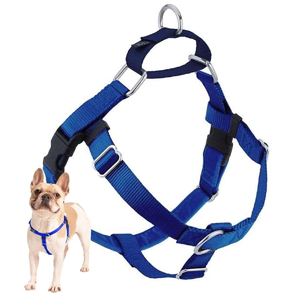 2 Hounds Design 2 Hounds Design Freedom No Pull Dog Harness Adjustable Easy Walking Comfortable Control Fits All Sizes Made in USA Royal Blue