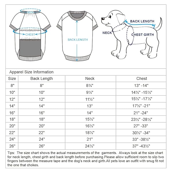 Blueberry Pet Blueberry Pet Stylish Grey Daisy Flower Dog Hoodie Small Dog Sweatshirt Award-Winning XS Pullover for Boys Happy Hoodie - View 6 of 6