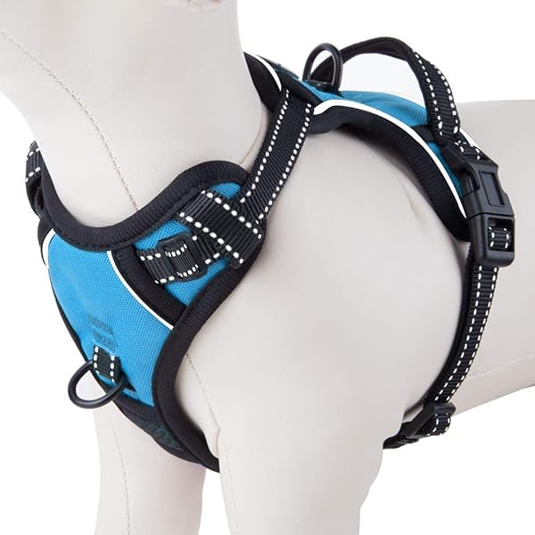 PHOEPET PHOEPET Large Reflective Dog Harness No Pull Vest with Dual Metal Leash Attachments in Blue for Large Breeds
