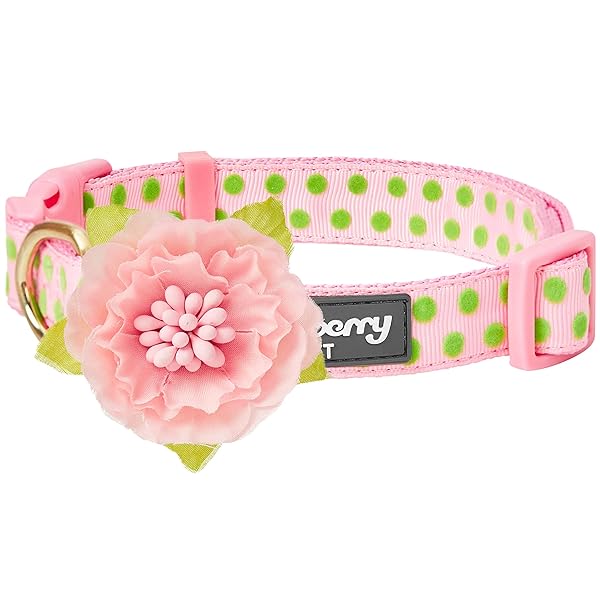 Blueberry Pet Blueberry Pet Adjustable Pink Dog Collar with Silk Flower for Medium Dogs 14.5 to 20 Inch Neck 3/4 Inch Width Stylish Girl Dog Collars