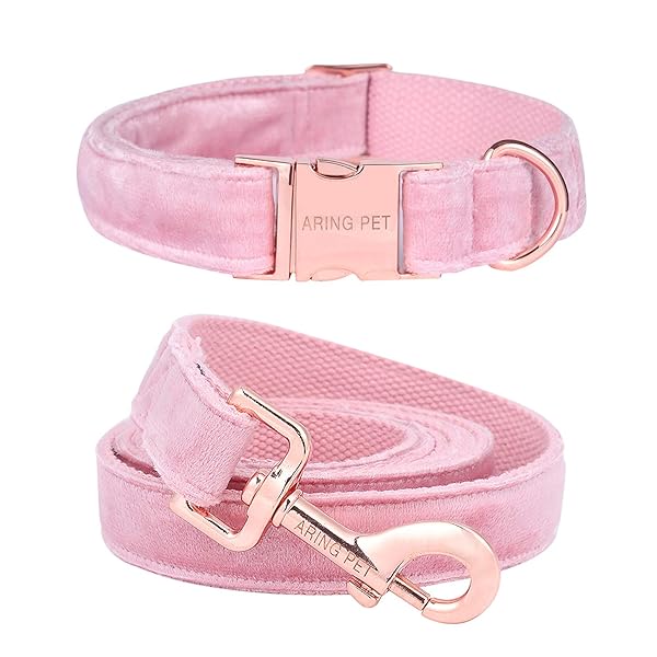 Soft Velvet Dog Collar and Leash Set Adjustable Comfy Collars for Dogs ARING PET