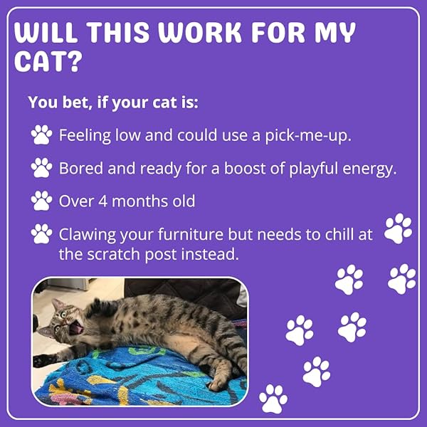 Cat Dope Cat Dope Catnip 100 Natural Catnip Blend Energizes Cats Safe Non Addictive Treats for Play Training and New Toys - View 3 of 3